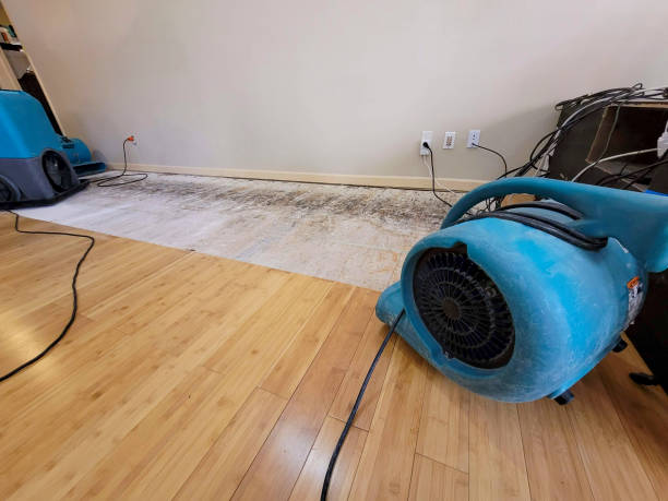 Reliable Basement Flood Cleanup contractor in Oaks, OK by Hirex Water Damage