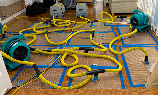 Professional Basement Flood Cleanup technician working in Oaks, OK
